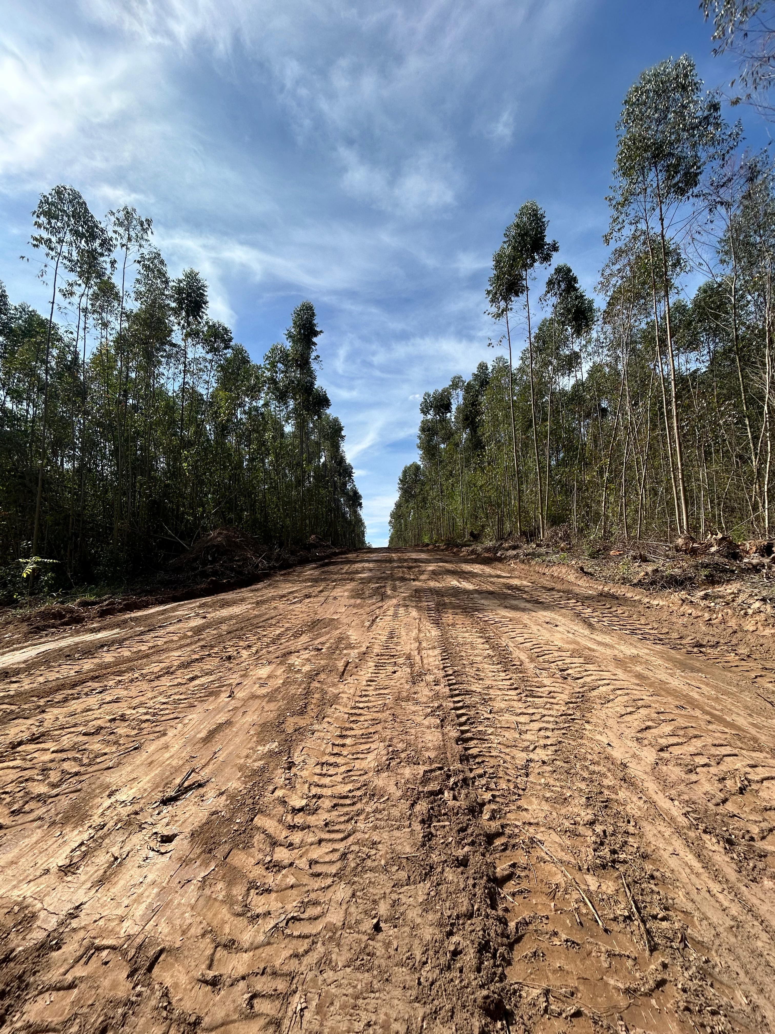 Foto do anúncio: Lotes de 1000 m² no interior de São Paulo 