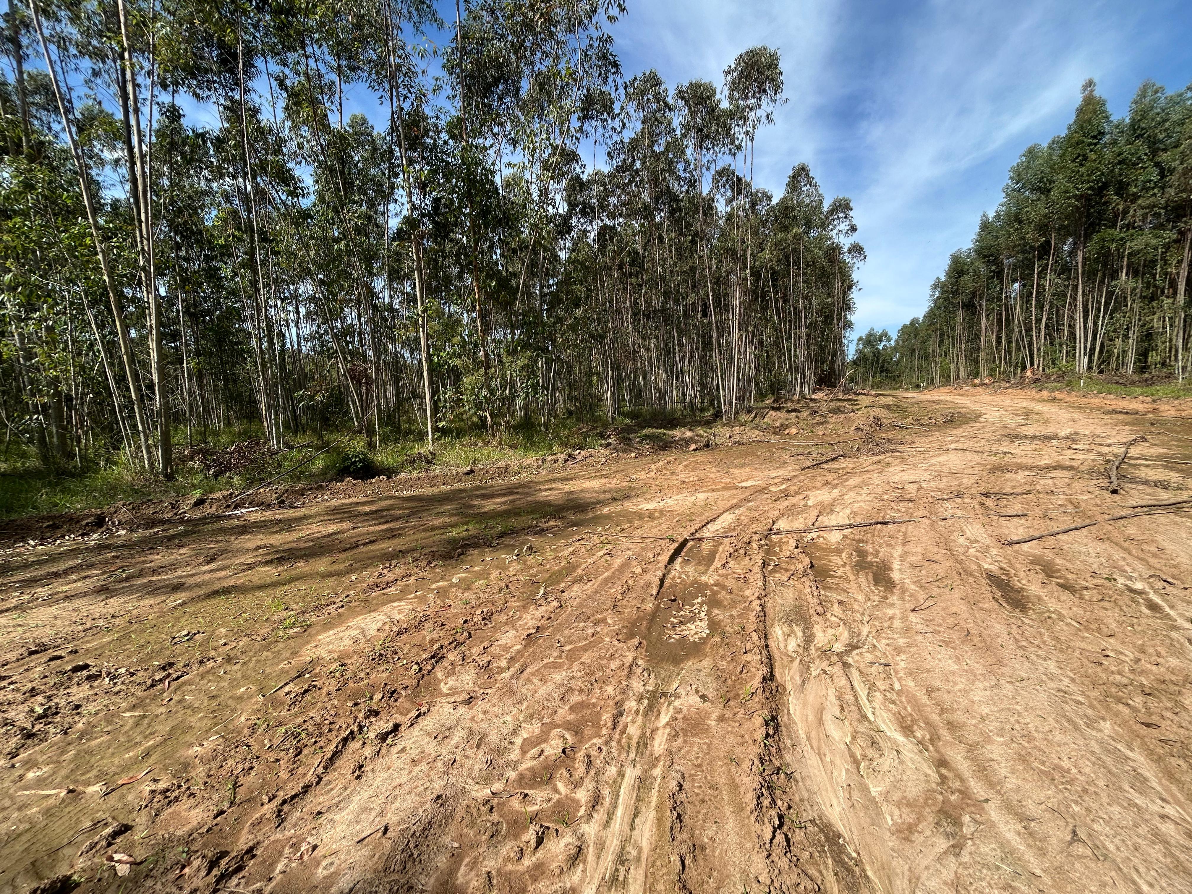 Foto do anúncio: Lotes de 1000 m² no interior de São Paulo 